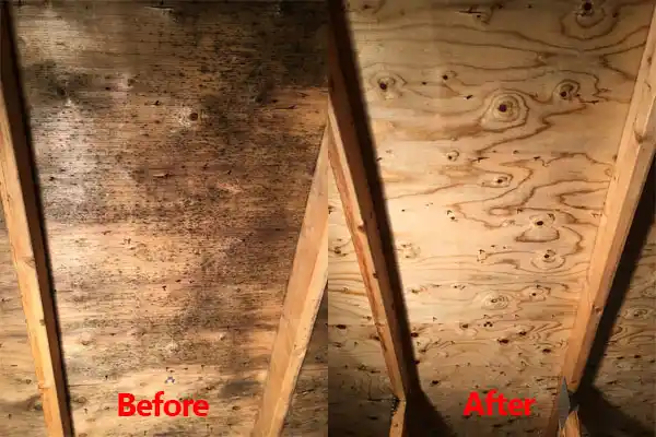 water damage restoration service Strathmore